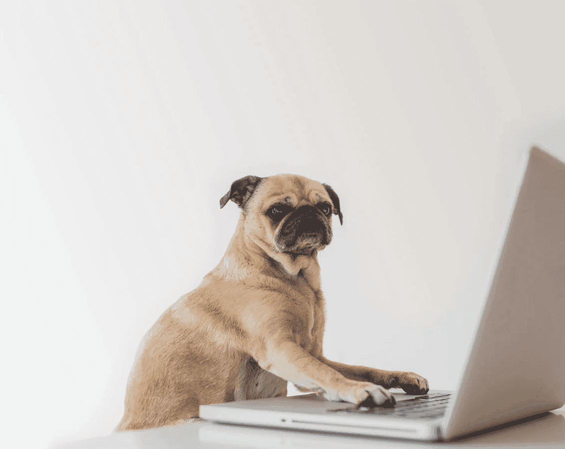 Ecommerce Works team at work